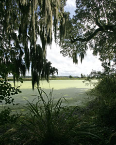 Ashleyb River by Casey O'Connor